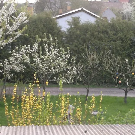 Guest house Restaurant Lubusch Gahro